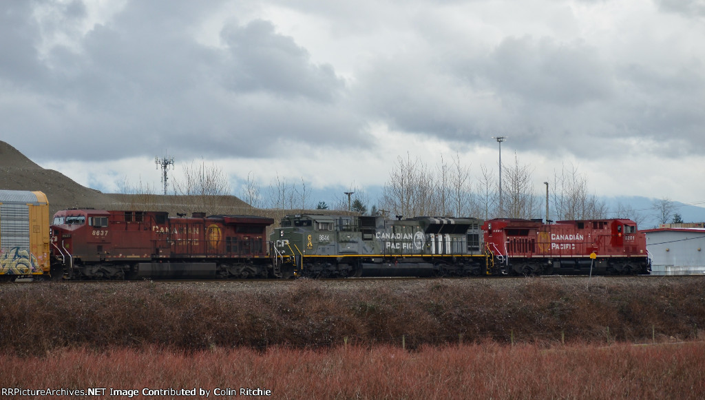 CP 8201, 6644 and 8637 slowing to a stop before the Kennedy road crossing, E/B.